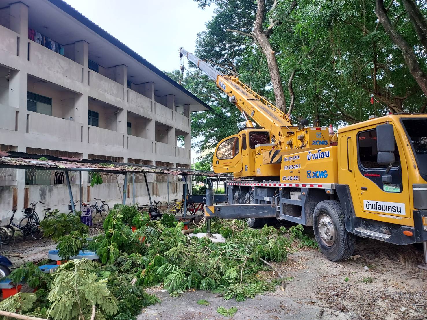 ผู้บริหารลงพื้นที่ตรวจติดตามงานตัดกิ่งต้นจามจุรีในเขตหอพักนักศึกษา