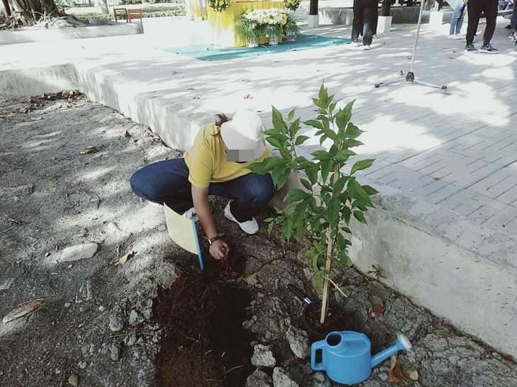 นักศึกษาร่วมกิจกรรมจิตอาสา